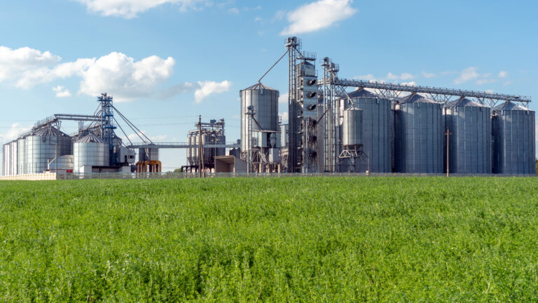 Silver,Silos,On,Agro,Manufacturing,Plant,For,Processing,Drying,Cleaning